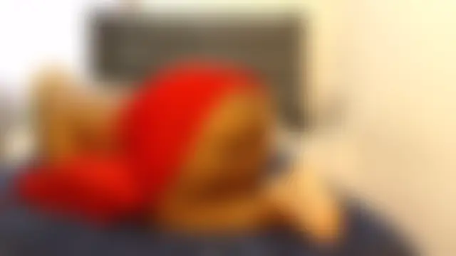 Živá chatovací místnost BUBBLEBUTT-CHICK