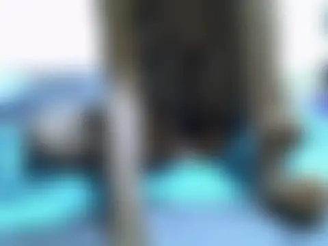 Chat soba uživo modela catey1050