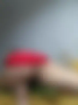 ValeriaLight Cameră chat live