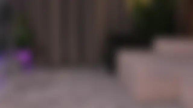 EmeraldKat লাইভ চ্যাট রুম