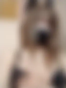 Jade69xx Ruang Obrolan Langsung