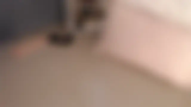 isabelateranのライブチャットルーム