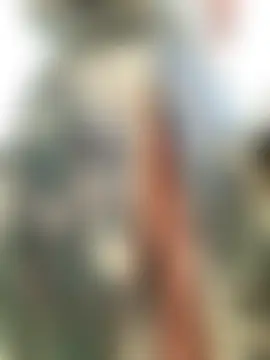 Florxxx9 现场聊天室