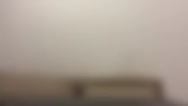 Phòng Chat Trực Tiếp TanjaBrounson