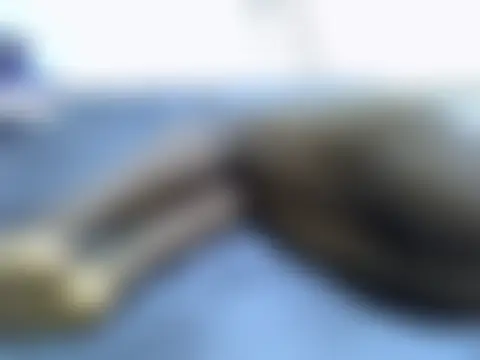 catey1050のライブチャットルーム