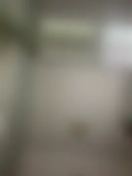 TrustMySoles: вебкам-шоу