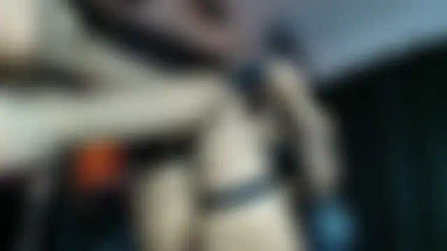 AlexHoe_'s Webcam Show