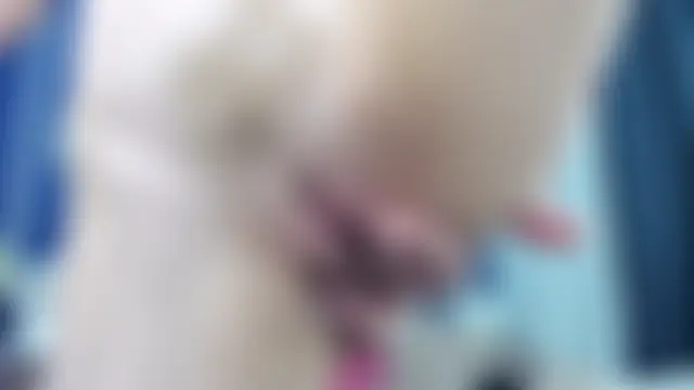 AmandaWesson's Webcam Show