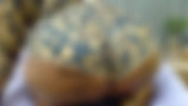 ROYALASS25 Show in webcam