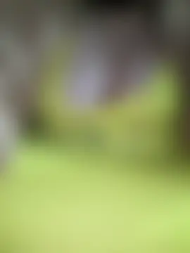 mnbvcxzqwertyuiop1235: вебкам-шоу