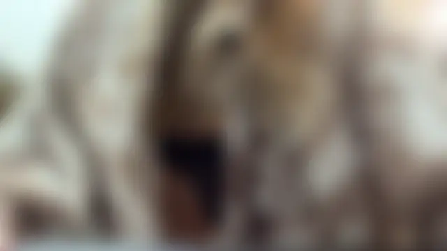 selena_favn: δωμάτιο απευθείας συνομιλίας