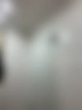 Cat2525: онлайн-чат