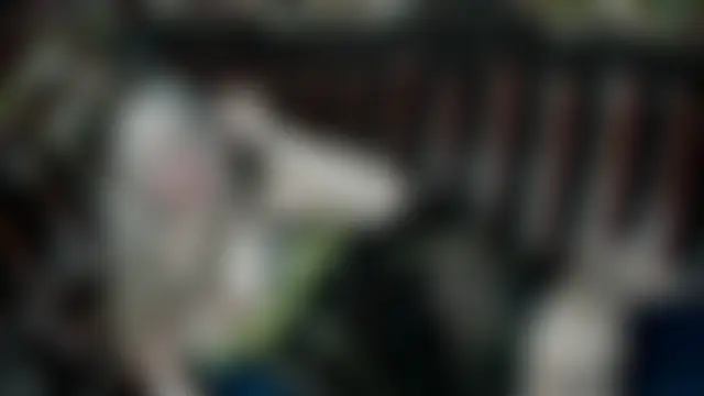 mariabelladonna লাইভ চ্যাট রুম