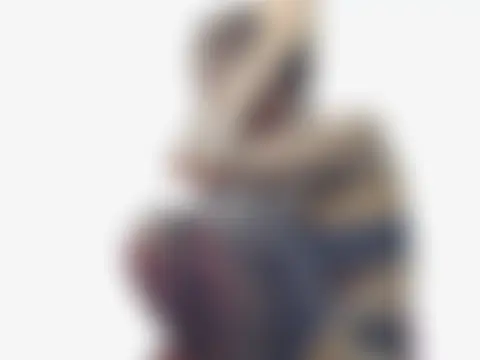 cute-sleander 现场聊天室