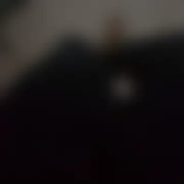 Show webcam de Narwindruners