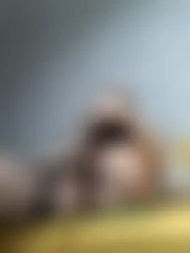 ห้องแชทสดของ ValeriaLight