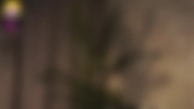 EdlinHargus Adlı Modelin Canlı Sohbet Odası