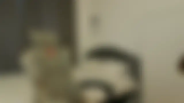 Živý XXX chat yourrdanceteacher