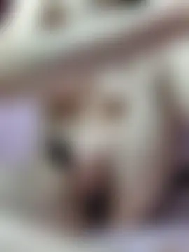 Love_Lysa_ 现场XXX聊天