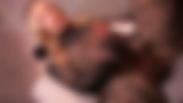 _Your_fenka_: вебкам-шоу