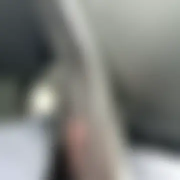 Show Webcam de topman_____