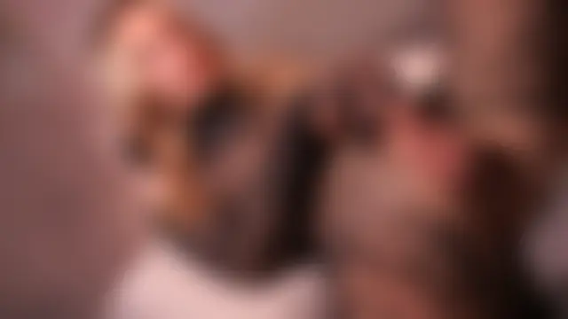 Show de _Your_fenka_ na webcam