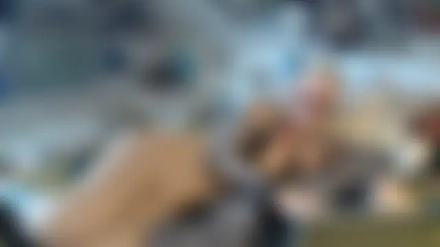 MaryG – Naživo chatovacia miestnosť