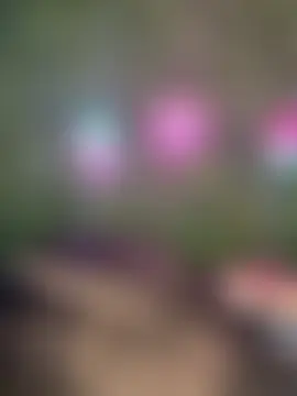 ห้องแชทสดของ RenaThickAss