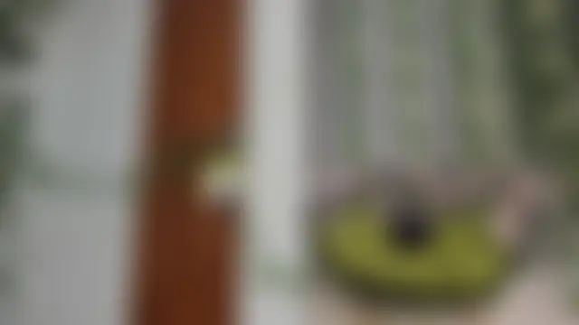 ห้องแชทสดของ LittlePeach_