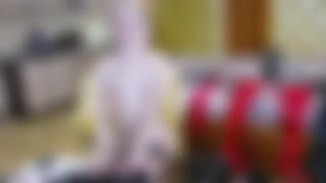 DomCaprisse লাইভ চ্যাট রুম