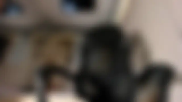 Вебкам-шоу DylanRoyce_