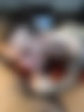 FuckPovHardcoresexn Webbikameraesitys