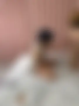 dingding-520 Show Webcam