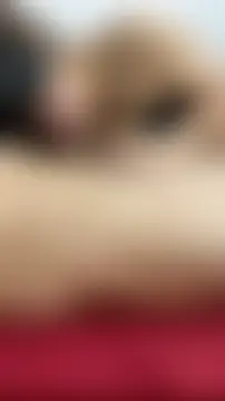 Chat soba uživo modela vietAnhzip