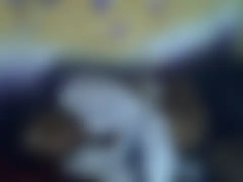 Živá chatovací místnost cute-shamza