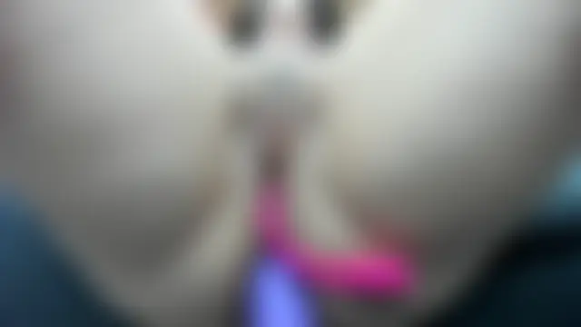 BrendaWildd Live Chatrum