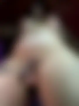 Anastasiaxxx69's Live Chat Room