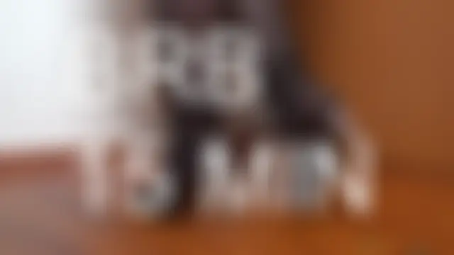 Živá chatovací místnost MistressLP