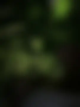 Alexa_seexy1 Cameră chat live