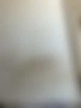 floctous Show Webcam