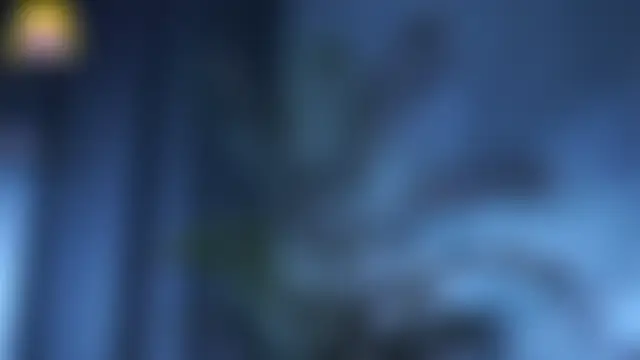 Show modela EdlinHargus na web-kameri