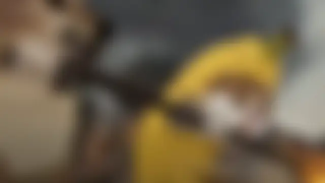 Вебкам-шоу 88_Emeraldss