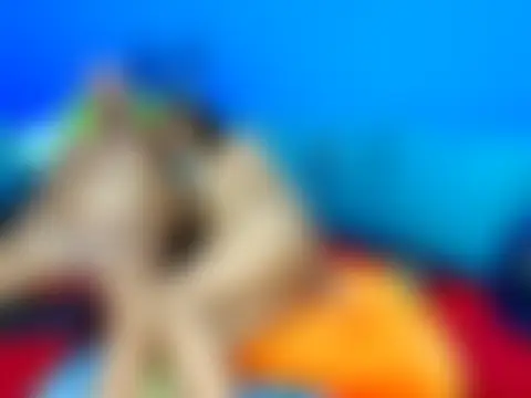 jhon_gade 실시간 채팅방