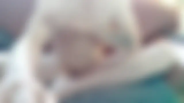 Garfield0401 webcam show