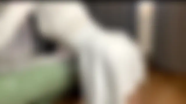 EvaCake Adlı Modelin Canlı Sohbet Odası