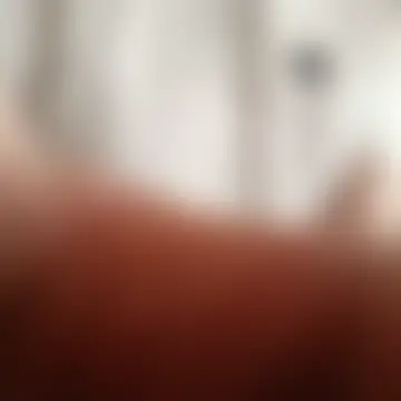 mezczyzna36 – Kamerová šou