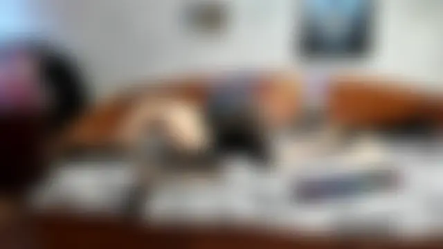 XXX chat uživo modela KagamiTayga