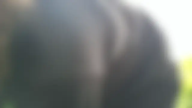 XXX chat uživo modela shurthingx