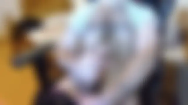 KmlBI26 – Kamerová šou