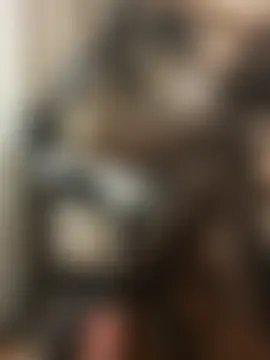 Show Webcam de petoys